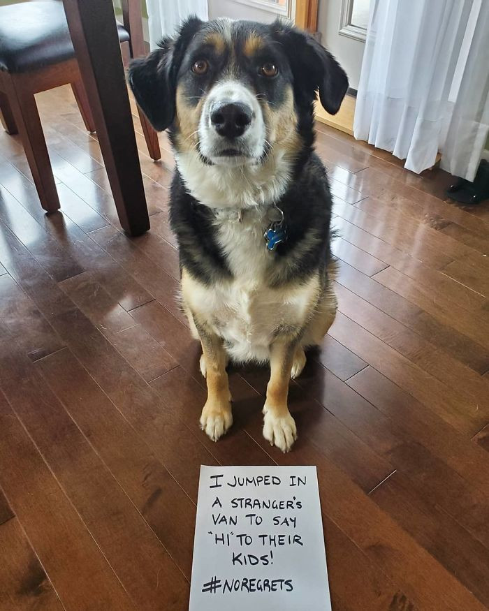 18. "This Happened Today On Our Walk"