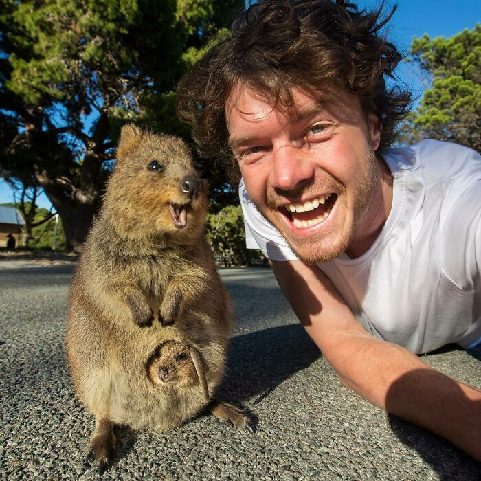 It's always smile time for Quokka lovers out there