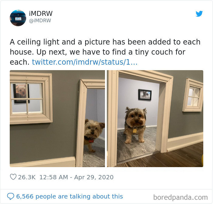 Renovated indoor room with newly upgraded flooring and standout windows
