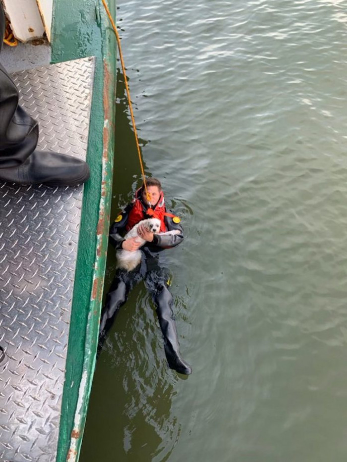 First responders rescued this 28-year-old man and his beloved dog.