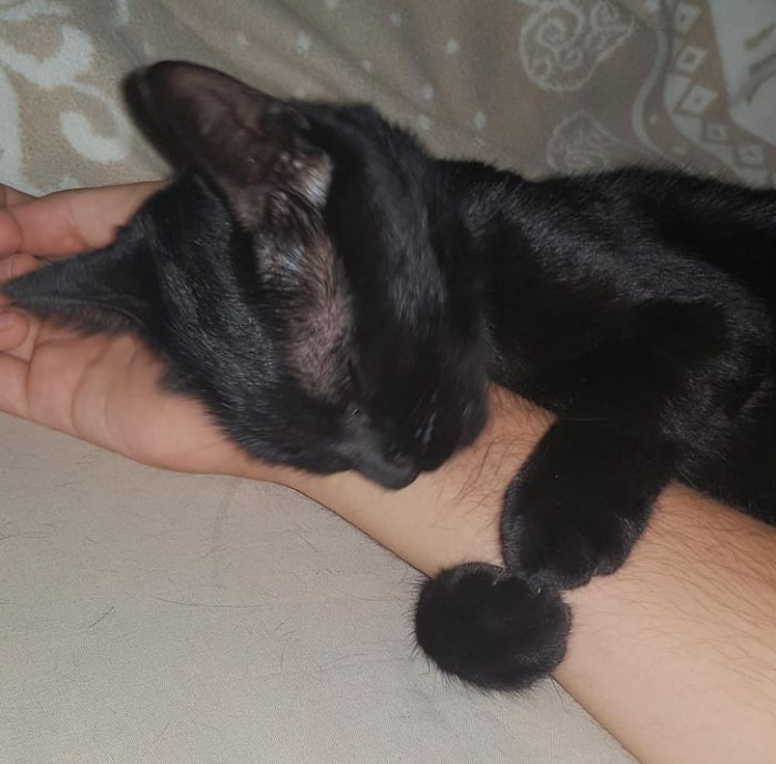 14. You iz mine meow.