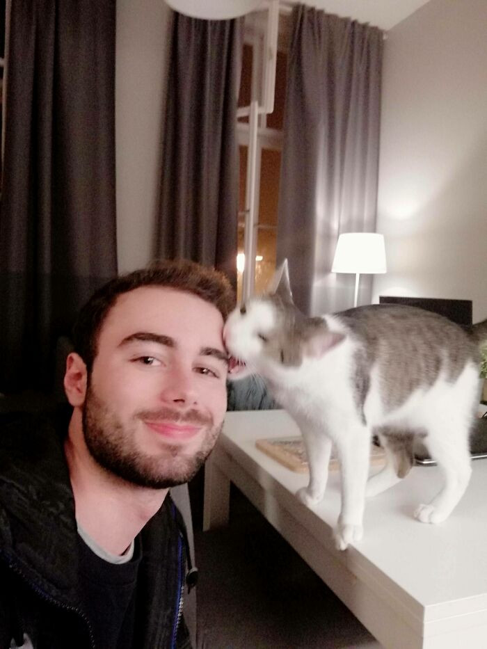 34. "Apparently, the Satanic Spirit Possessing My Cat Doesn't Like Selfies"
