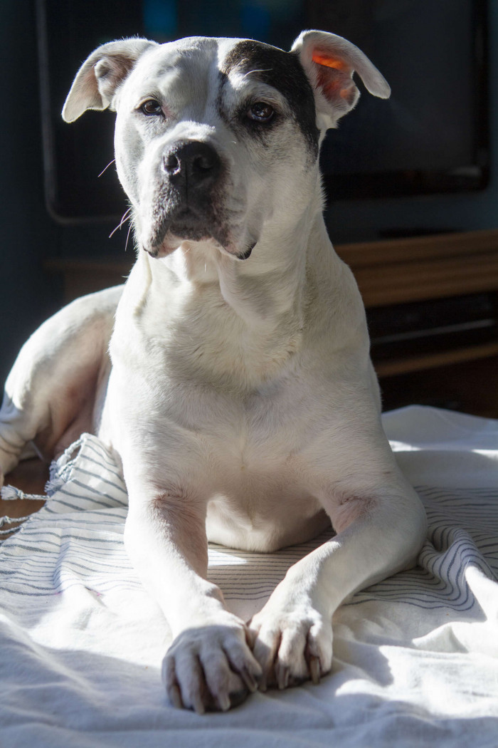 Lili thinking deep about her next adventure