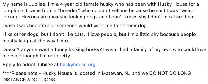 Here was the post written by Husky House to find Jubilee a home