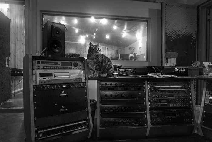 ...and recording studios, where they can be seen doing their own things or causing adorable distractions to their human friends.