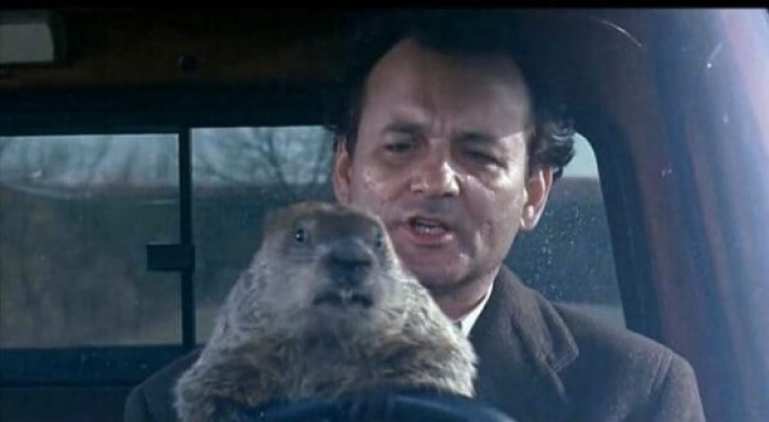 1. Bill Murray was bitten by the groundhog multiple times, prompting the actor to seek medical advice for rabies shots