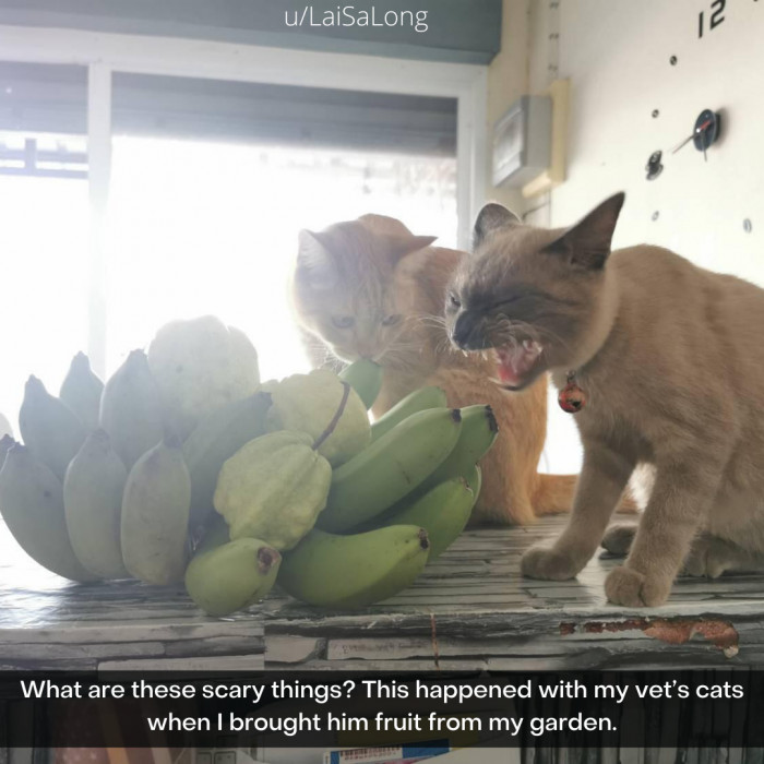 30. The audacity of humans sometimes, honestly.