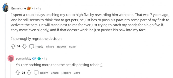 Cat owners just teaching cats tricks.