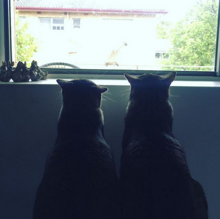 Last year they shared: