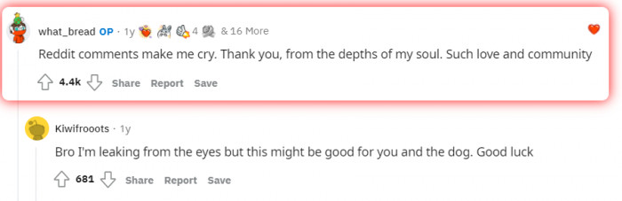 OP's response to all of the amazing comments.