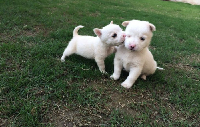 2. Here's a kiss for you...