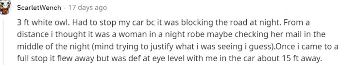 20. Saw a three-foot white owl and a woman in a night robe