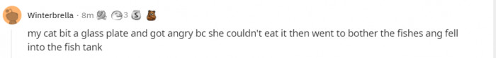3. Those damn glass plates...