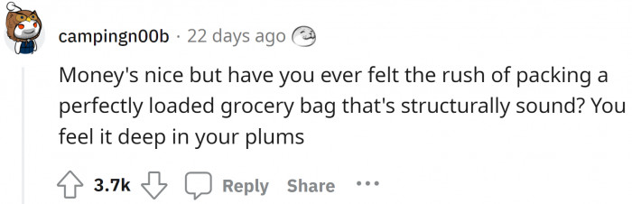 The money is fine, and the job is satisfactory, but the pleasure of bagging a perfectly packed and loaded grocery bag is out of this world.