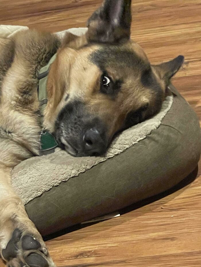 15. While talking to my boyfriend, I accidentally said "walk"