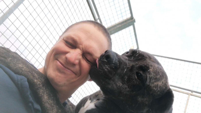 However, Bob and his trainers have worked very hard, and he is now able to walk on a long leash.