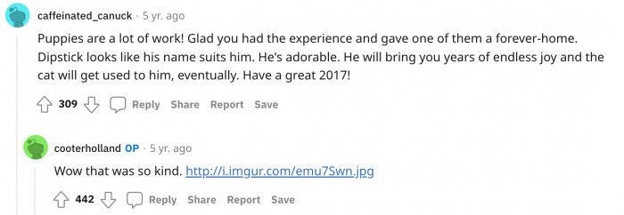 What he did for the entire litter is probably something Dipstick will appreciate for the rest of his life.