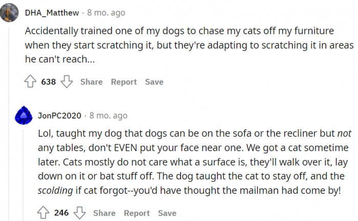 The disciplinarian dog.