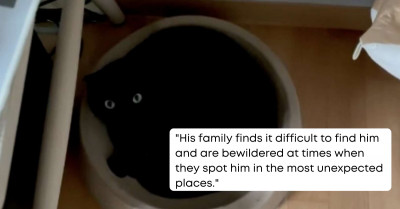 Jet Black Cat Is A Master Of Disguise As He Literally Looks Like A Void When He Climbs In His Bed