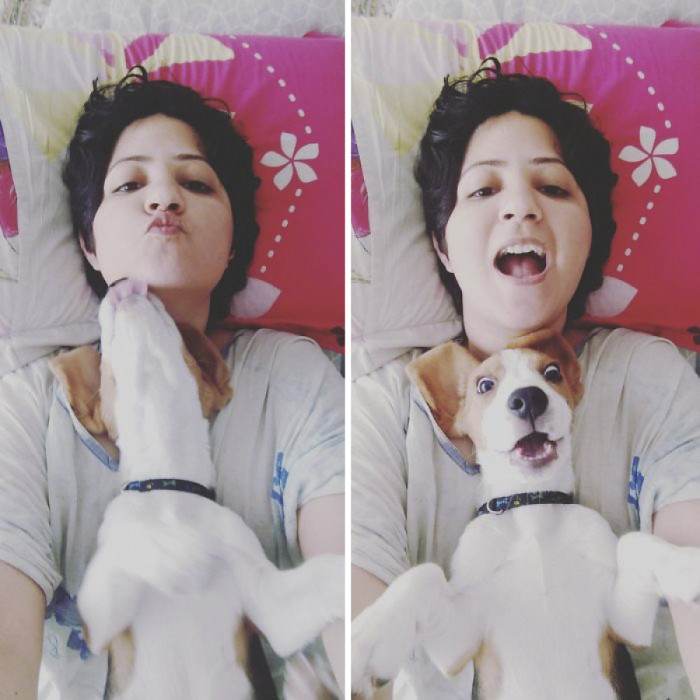 Close-up of a cat or dog staring with mysterious, wide eyes