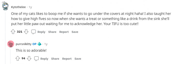 This Reddit post has opened the door for everyone to share what they taught their cats.