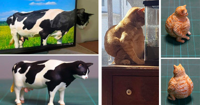 Japanese Artist Brings the Weird Side of the Internet into Existence by Turning Animal Memes into Sculptures