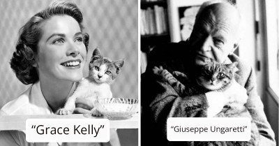 30+ Vintage Pictures Of Cats With Celebrities
