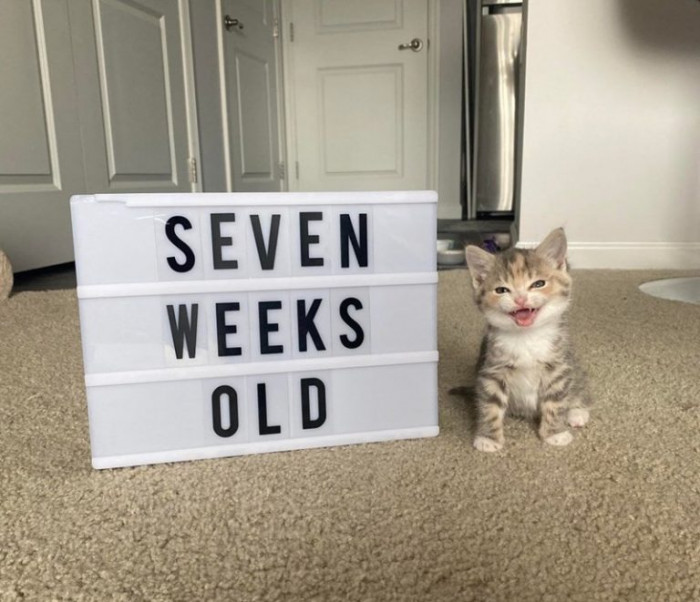 7. Someone is excited about growing up