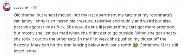 20. Jenny can be quite nasty sometimes. Be careful not to get on her bad side....