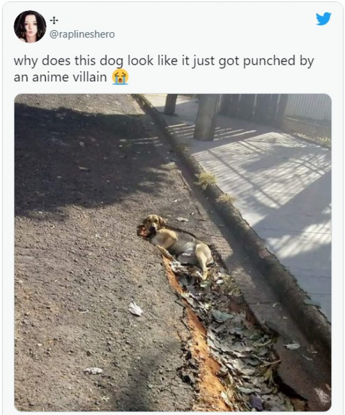 1. Poor animal. Obviously, it was a tough battle…