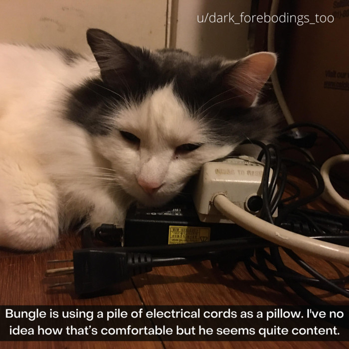 13. This raises more questions than it answers.