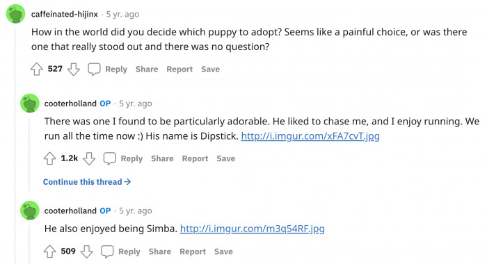 He adopted one of the dogs, whom he named Dipstick.