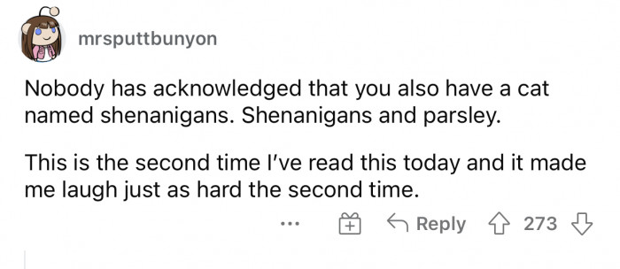 It’s the perfect combination; credits to OP for the hilarious names.