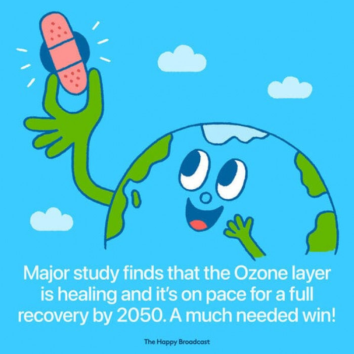 22. The ozone layer is healing