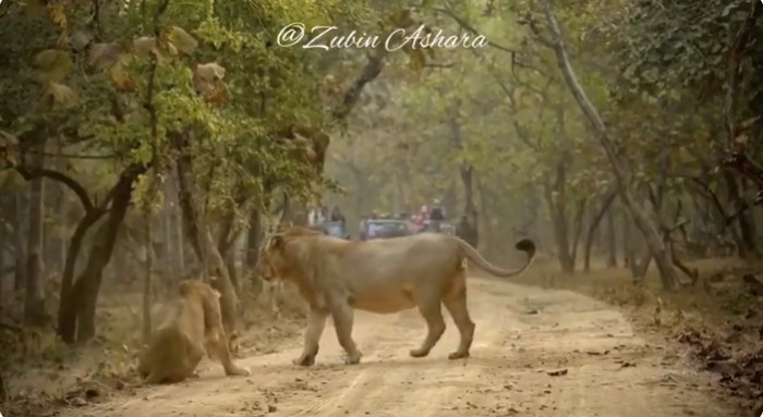 She Finally Decides She's Done.