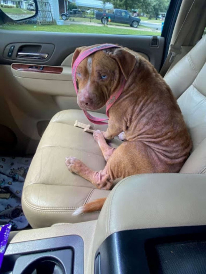 Jayme took the text seriously and rushed immediately to the gas station in Kinta, Oklahoma, where the dog had been abandoned.