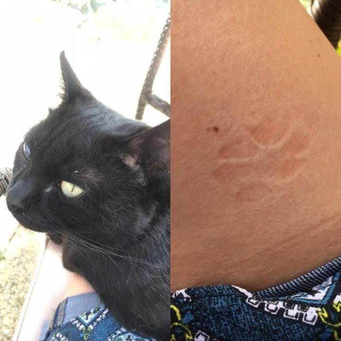 Leaving marks in our hearts. And thighs.