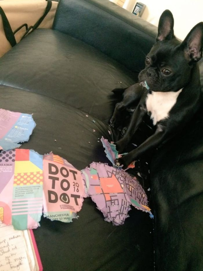 "What! How did this happen?"