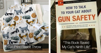 Pawsitively Adorable Cat Themed Items Every Cat Fanatic Needs