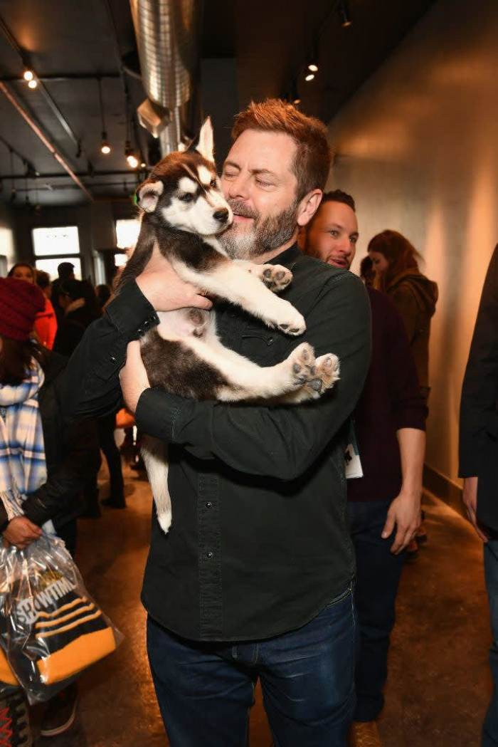 The little pupper, White Fang, is still taken care of my the organization. We hope Nick Offerman adopts him- because he seems to be in love with the adorable puppy.