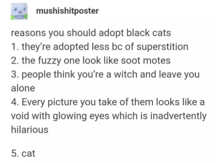 Black cats are the least likely to be adopted! Get yourself a fuzzy little void TODAY.