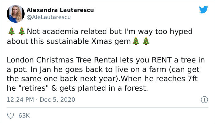 Twitter user A. Lautarescu recently posted a photo of a tree she rented from the London Christmas Tree Rental