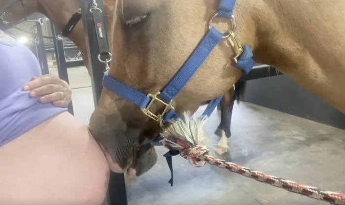 Megan and her horse Angel.