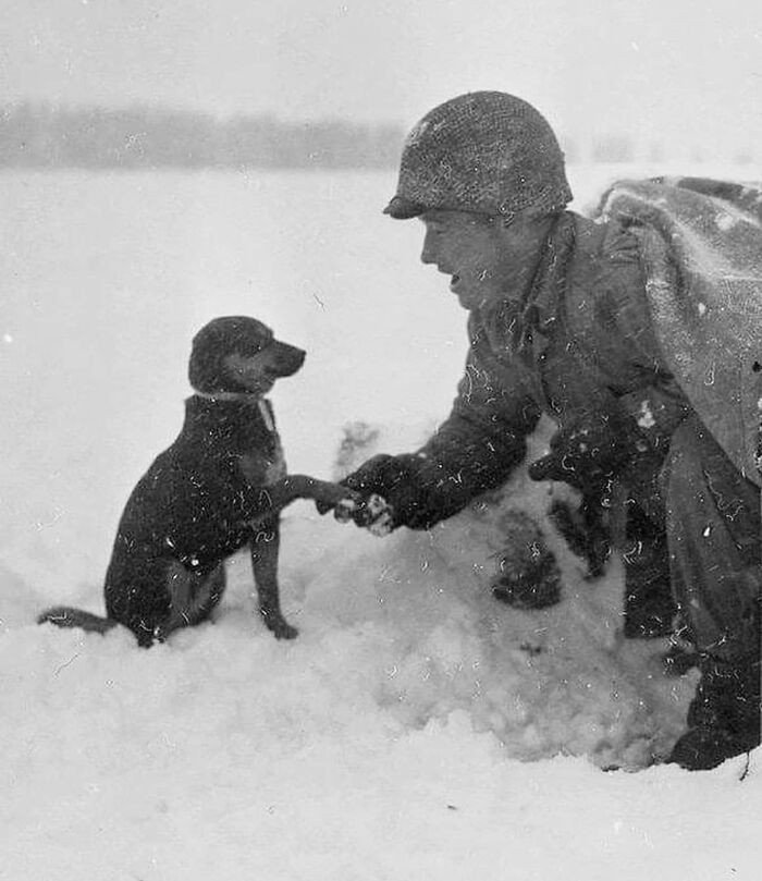 43. A US Soldier Caught On Photo Shaking Hand With A Dog In Luxembourg During The Battle Of Bulge, 1944