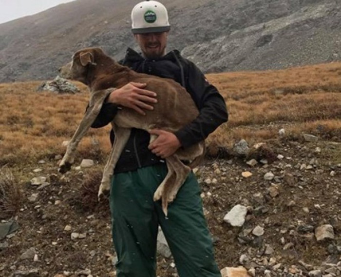 Chloe was on a hiking trip with her family when she got separated from them while following their other pet. He managed to return to the family, but Chloe didn't.
