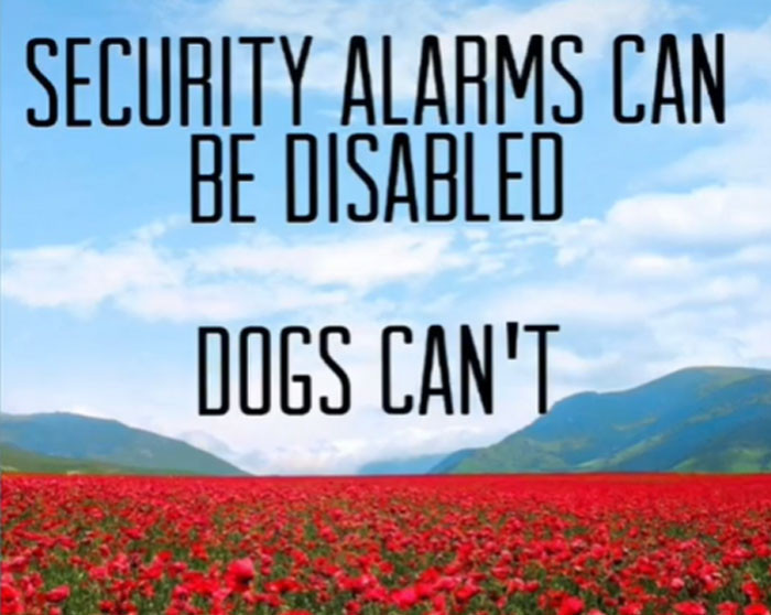 A very valid point about animal friends.