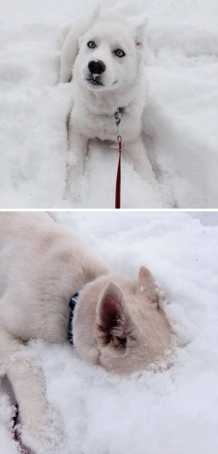 20. First Snow