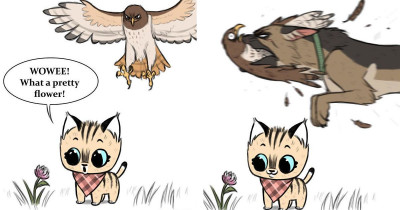 New Pixie And Brutus Comics That Will Make You Smile