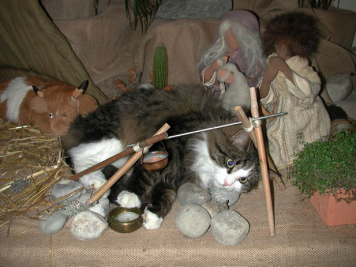 24. "Found The Cat Laying In The Middle Of The Nativity Scene"