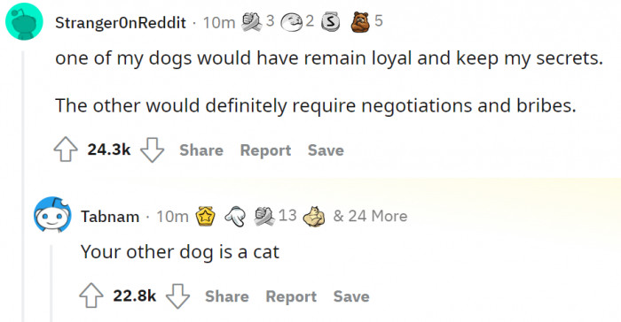 2. Some dogs just have a cat attitude, but one thing's for sure: we still love them for it!